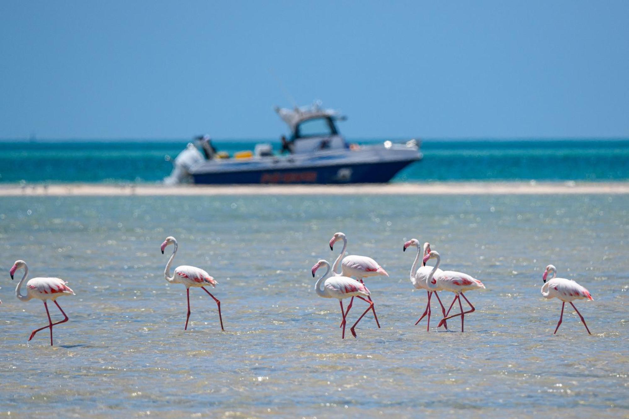 Ocean Pearl Beach Lodge Виланкулос Экстерьер фото